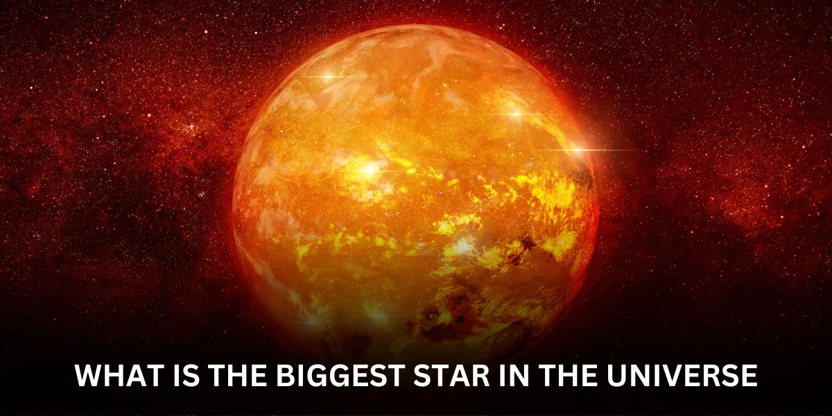 what is the biggest star in the universe